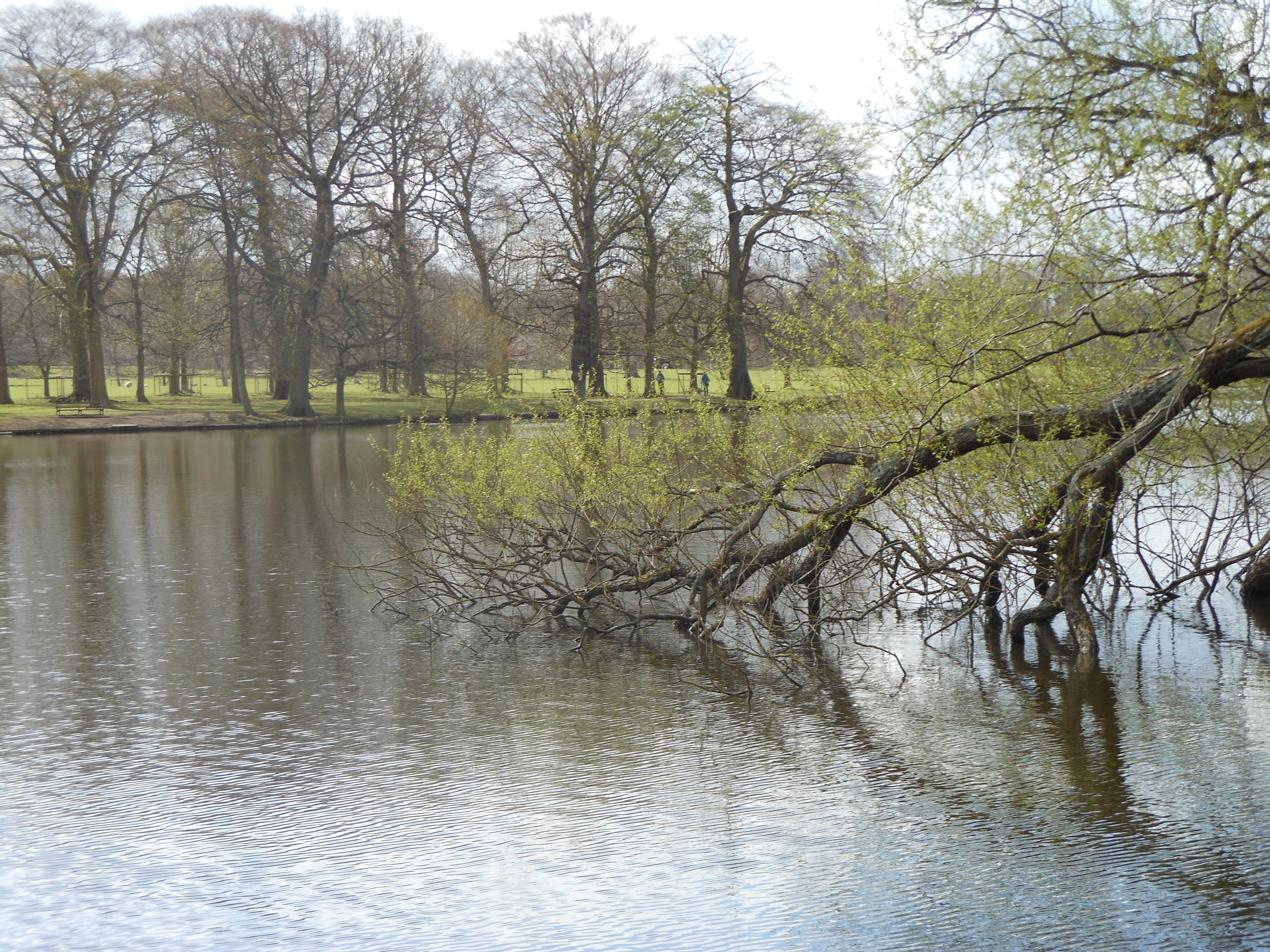Well Dressings Bakewell